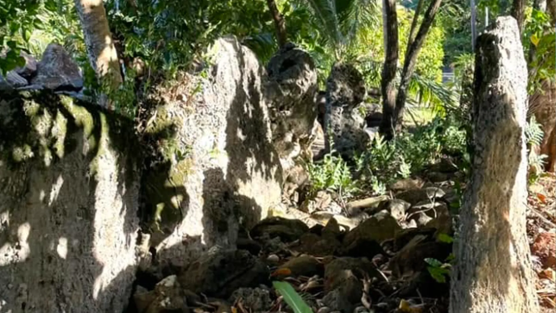 Ancient sacred Marae stone temple ruins surrounded by lush nature in Bora Bora